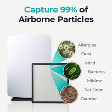 BreatheSmart Classic Air Purifier for Large Rooms Up to 102 m², HEPA Fliter with 99.99% Airborne Particle Rmoval, Captures Allergens, Mould, Pollen, Dust, Pet Odours, Smoke, VOCs, Chemicals.